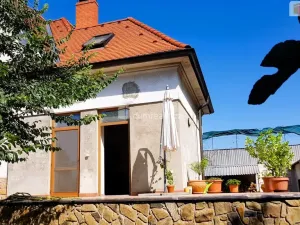 Prodej rodinného domu, Hodonín, Plucárna, 303 m2
