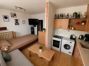 Prodej bytu 1+kk, Přemyslovice, 33 m2