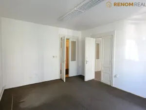 Pronájem bytu 2+1, Olomouc, Krapkova, 81 m2