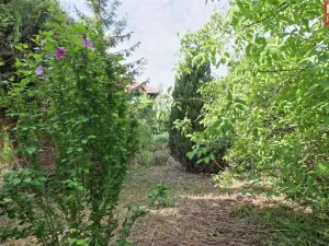 Prodej rodinného domu, Bílovice-Lutotín - Lutotín, 160 m2