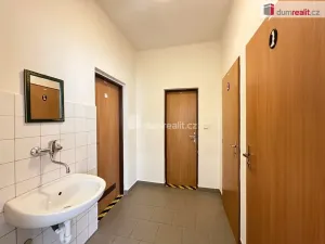 Pronájem skladu, Brno - Brno-město, Benešova, 120 m2