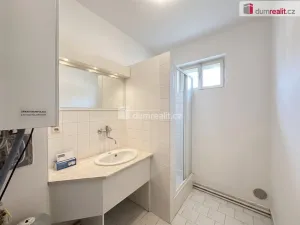 Pronájem skladu, Brno - Brno-město, Benešova, 120 m2