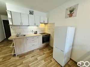 Pronájem bytu 1+1, Příbram, Gen. Kholla, 44 m2