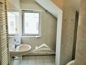 Pronájem bytu 2+1, Plzeň, Martinská, 67 m2