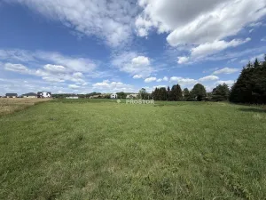 Prodej pozemku pro bydlení, 10791 m2