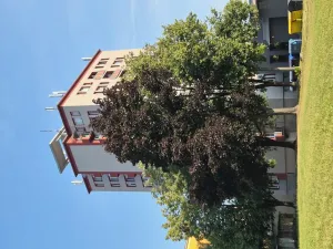 Pronájem bytu 2+1, Ostrava, Hlavní třída, 59 m2