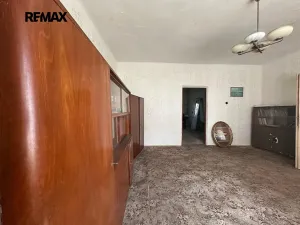 Prodej rodinného domu, Kralovice, Na Palcátech, 220 m2