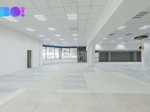 Pronájem skladu, Opava, Ratibořská, 2029 m2