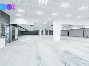 Pronájem obchodního prostoru, Opava, Ratibořská, 2029 m2