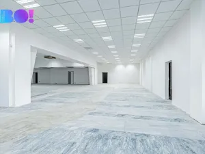 Pronájem obchodního prostoru, Opava, Ratibořská, 2029 m2