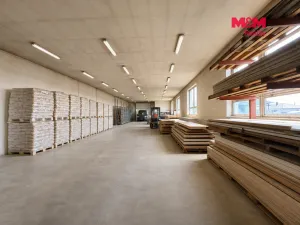 Prodej obchodního prostoru, Klenovice, 851 m2