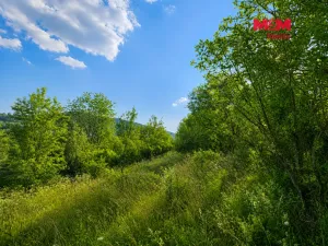 Prodej louky, Lužná, 4215 m2