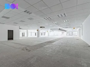 Pronájem obchodního prostoru, Opava, Ratibořská, 890 m2