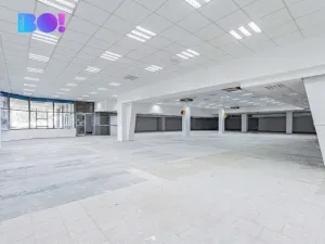 Pronájem skladu, Opava, Ratibořská, 390 m2