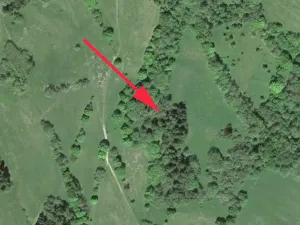 Prodej lesa, Trutnov, 28206 m2
