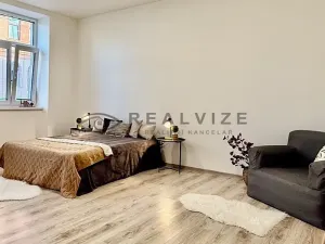 Pronájem bytu 1+kk, České Budějovice, Rudolfovská tř., 36 m2