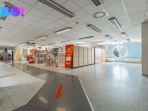 Pronájem obchodního prostoru, Frýdek-Místek, Frýdlantská, 50 m2