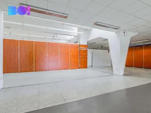 Pronájem obchodního prostoru, Frýdek-Místek, Frýdlantská, 20 m2