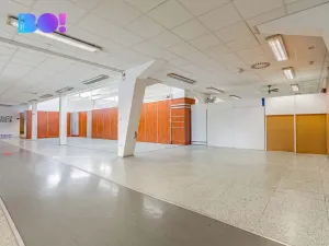 Pronájem obchodního prostoru, Frýdek-Místek, Frýdlantská, 20 m2