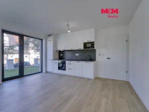 Pronájem bytu 1+kk, Plzeň - Skvrňany, Na Průhonu, 40 m2