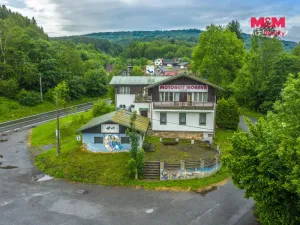 Prodej komerční nemovitosti, Plavy, 500 m2