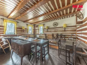 Prodej komerční nemovitosti, Plavy, 500 m2