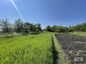 Prodej rodinného domu, Bánov, 86 m2