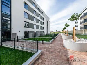 Pronájem bytu 1+kk, Plzeň - Jižní Předměstí, Železná, 28 m2