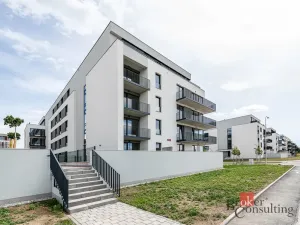 Pronájem bytu 1+kk, Plzeň - Jižní Předměstí, Železná, 28 m2