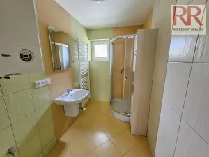 Pronájem obchodního prostoru, Plzeň, Mezi Ploty, 160 m2