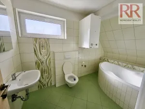 Pronájem obchodního prostoru, Plzeň, Mezi Ploty, 160 m2