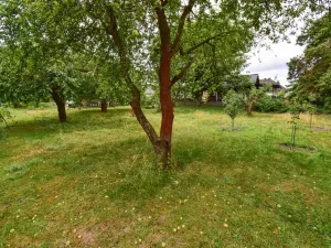 Prodej rodinného domu, Třemošná, Nové sídliště, 55 m2