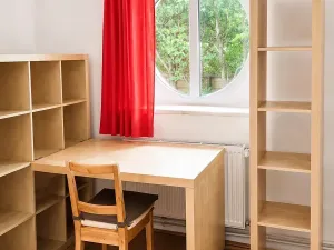 Pronájem bytu 1+kk, Brno, Kohoutova, 45 m2