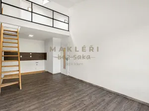 Prodej atypického bytu, Roudnice nad Labem, Okružní, 56 m2