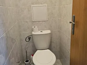 Pronájem bytu 1+kk, Český Těšín, Tovární, 40 m2