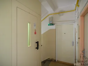 Pronájem bytu 1+1, Olomouc, Na Bystřičce, 31 m2