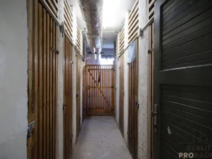 Pronájem bytu 1+1, Olomouc, Na Bystřičce, 31 m2