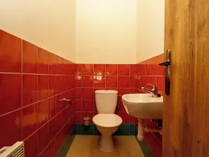 Pronájem výrobních prostor, Brandýs nad Labem-Stará Boleslav, 626 m2