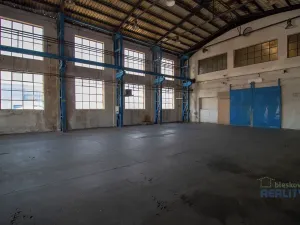 Pronájem výrobních prostor, Brandýs nad Labem-Stará Boleslav, 424 m2