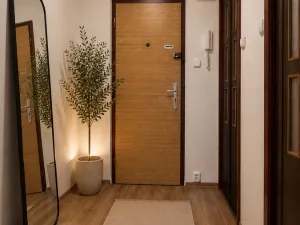 Pronájem bytu 2+kk, Kolín, Březinova, 32 m2