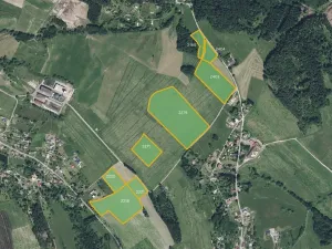 Prodej louky, Jílové u Držkova, 26037 m2