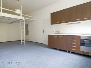 Pronájem bytu 1+kk, Praha - Nusle, U čtyř domů, 31 m2