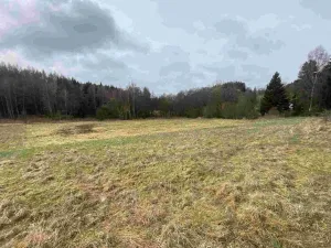 Prodej pole, Vyšší Brod - Hrudkov, 8071 m2