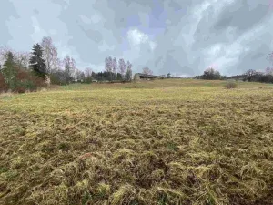 Prodej pole, Vyšší Brod - Hrudkov, 8071 m2