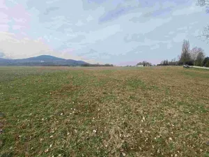 Prodej pozemku, Horní Stropnice - Bedřichov, 3502 m2