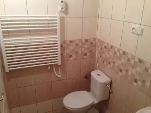 Prodej bytu 1+1, Příbram, náměstí J. A. Alise, 42 m2