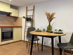 Prodej bytu 1+1, Ostrava, Korunní, 51 m2
