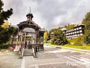 Prodej bytu 3+kk, Václavov u Bruntálu - Horní Václavov, 83 m2