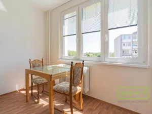 Prodej bytu 1+1, Cheb, Matěje Kopeckého, 36 m2