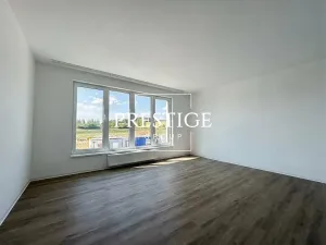 Pronájem bytu 1+kk, Velké Přílepy, Pražská, 38 m2